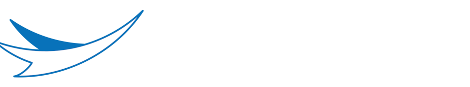 logo-banthiaerospace